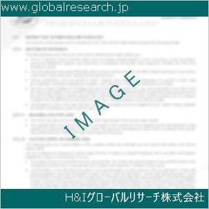 グローバルリサーチ調査資料のイメージ